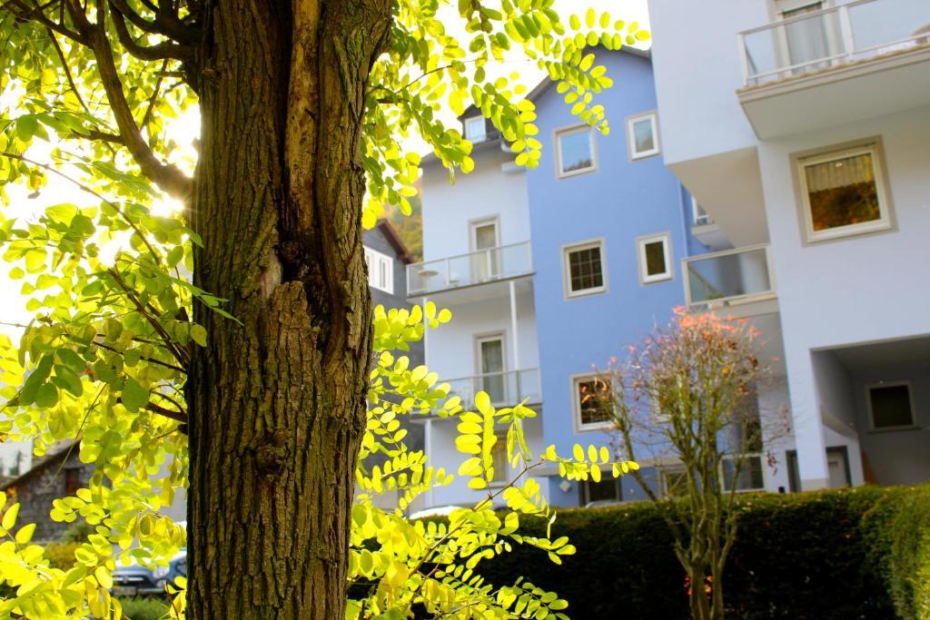 Hotel Ricarda Schlangenbad Exteriör bild